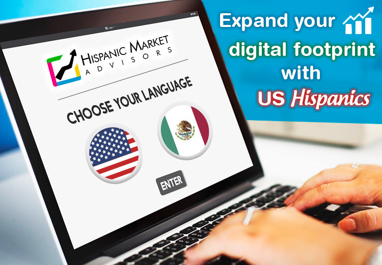 Website Translations Services